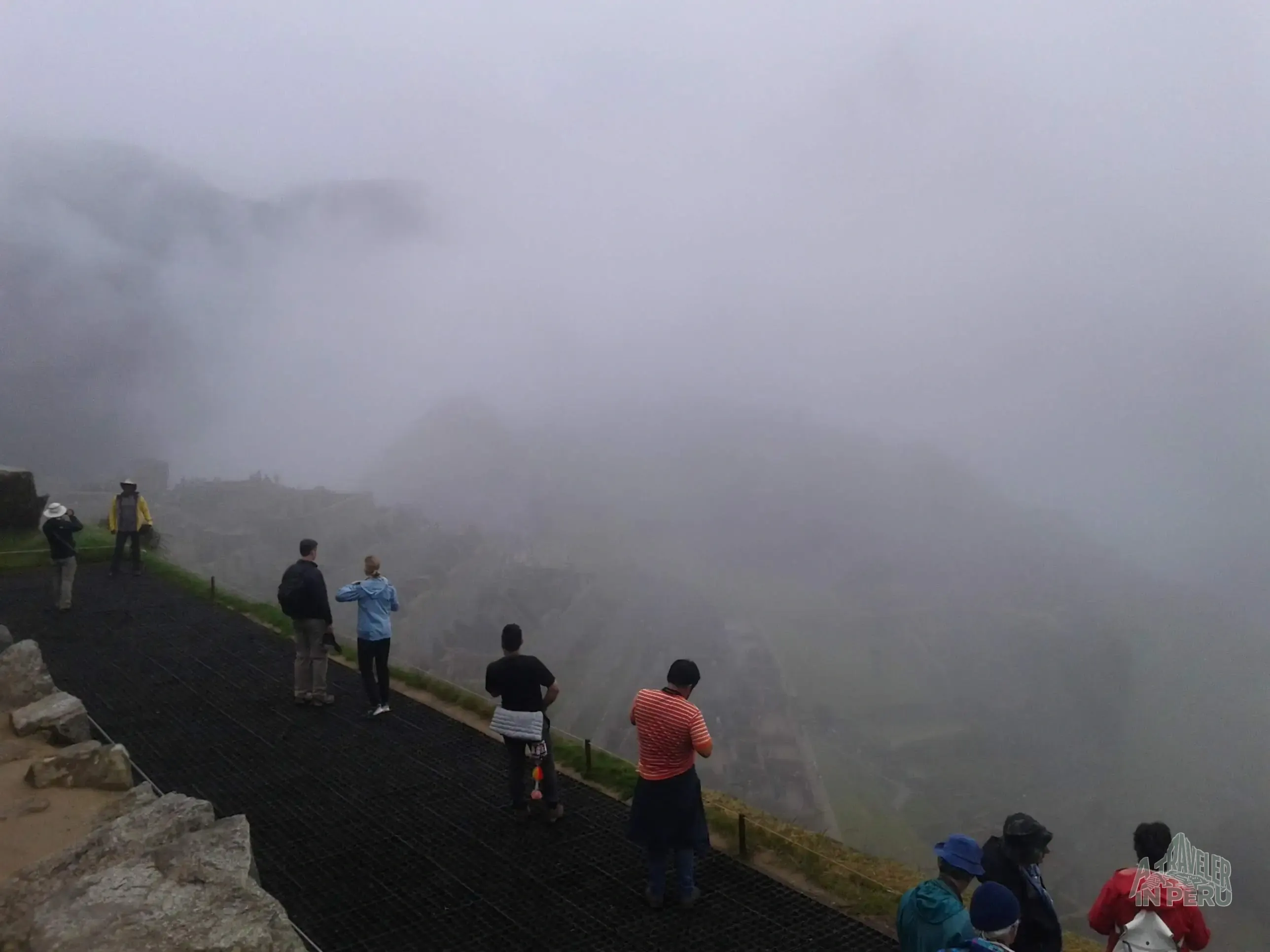 Caminata bajo la densa niebla
